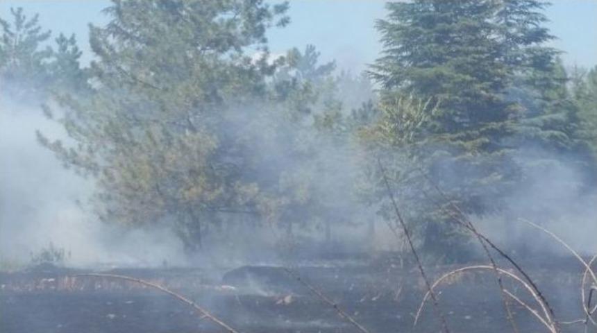 Anız Yangınına İtfaiye M&uuml;dahalesi