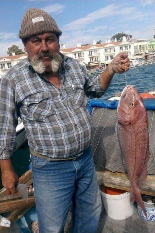 Foça Belediyesi’nden Tarık Dursun K. Deniz Öyküleri Ödülü