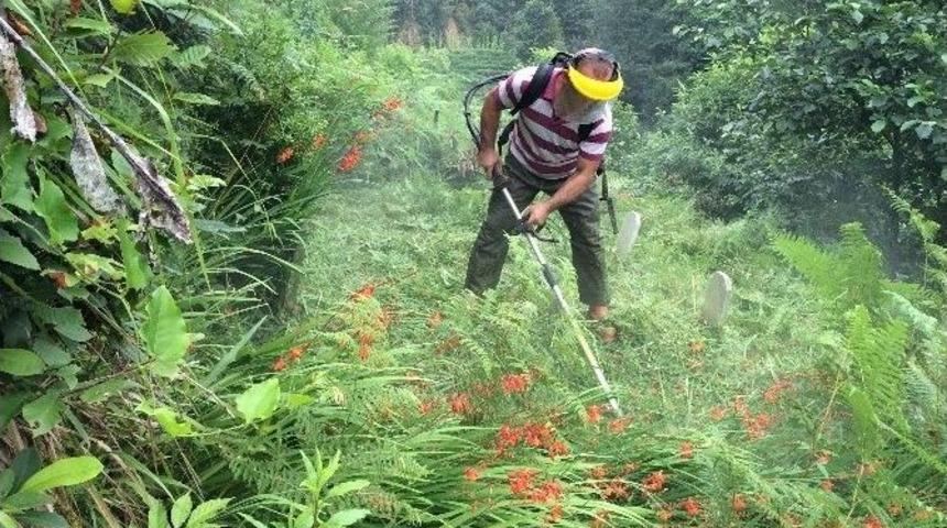 20 Yıldır Amcasının Vasiyetini Yerine Getirmek İ&ccedil;in K&ouml;y Mezarlıklarını Temizliyor