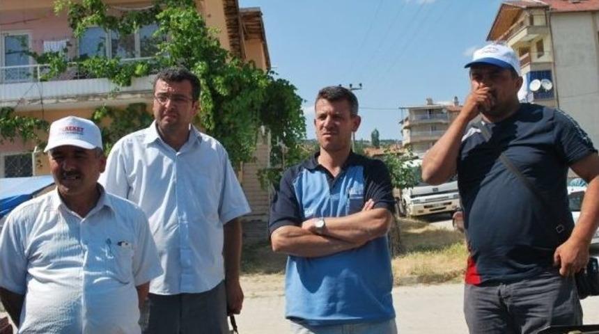 Vişne Boykotu İşe Yaramadı