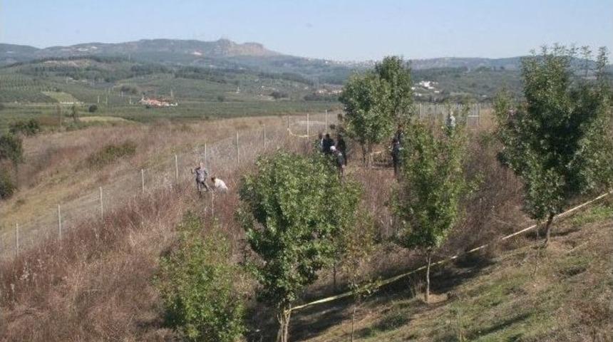 Otoban Cinayeti Sanığı Hakim Karşısında