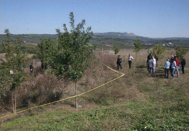 Otoban Cinayeti Sanığı Hakim Karşısında