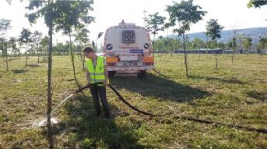B&uuml;y&uuml;kşehir Ağa&ccedil;ları Gece G&uuml;nd&uuml;z Sulayarak Canlı Tutuyor