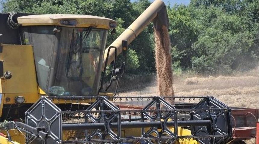 A&ccedil;ıklanan Buğday Fiyatları &Ccedil;ift&ccedil;iyi Memnun Etmedi