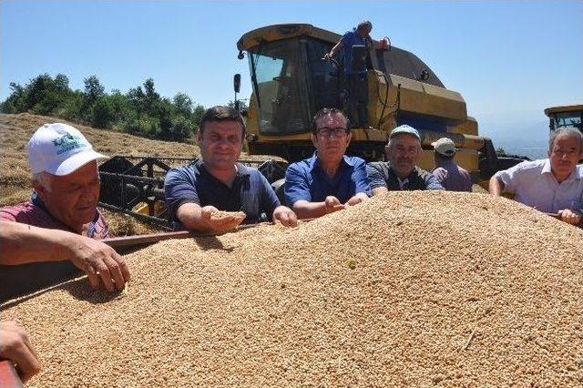 Açıklanan Buğday Fiyatları Çiftçiyi Memnun Etmedi