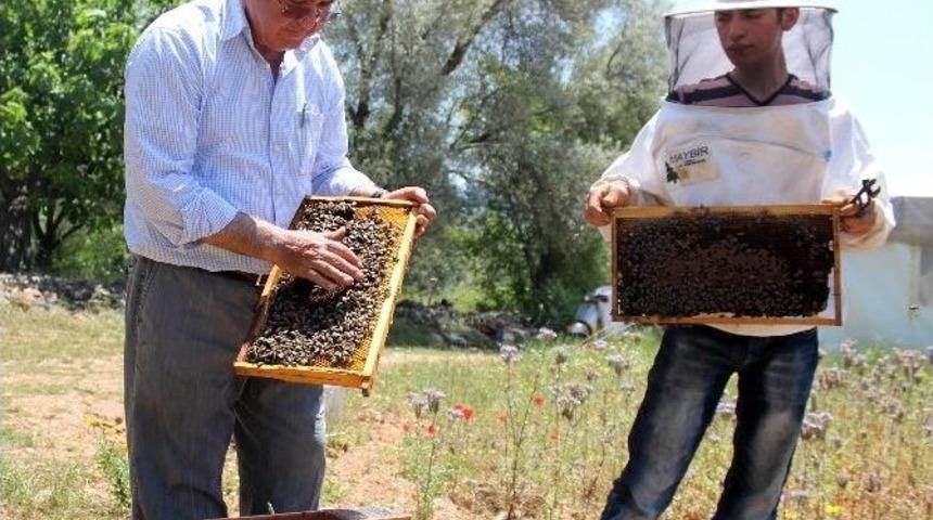 Kovan Arttı, &Uuml;retim D&uuml;şt&uuml;