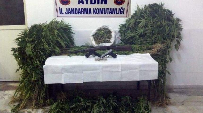 Aydın&rsquo;da Uyuşturucu Operasyonu
