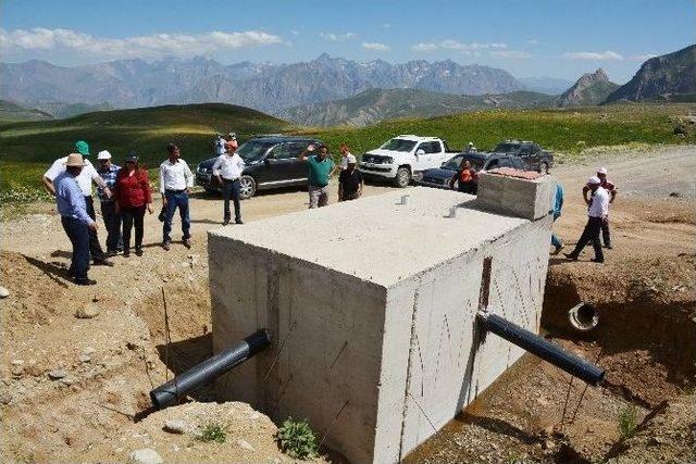 Şahinin Yediği Kursağında Kaldı