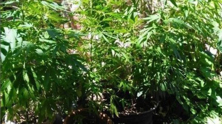 Kocaeli&rsquo;de Uyuşturucu Operasyonu