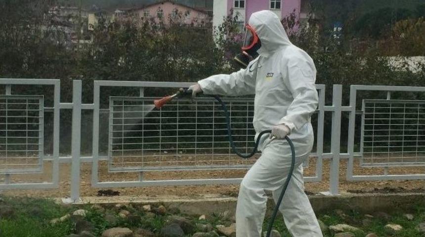 Ordu&rsquo;da 700 Bin Hektarda Haşere M&uuml;cadelesi