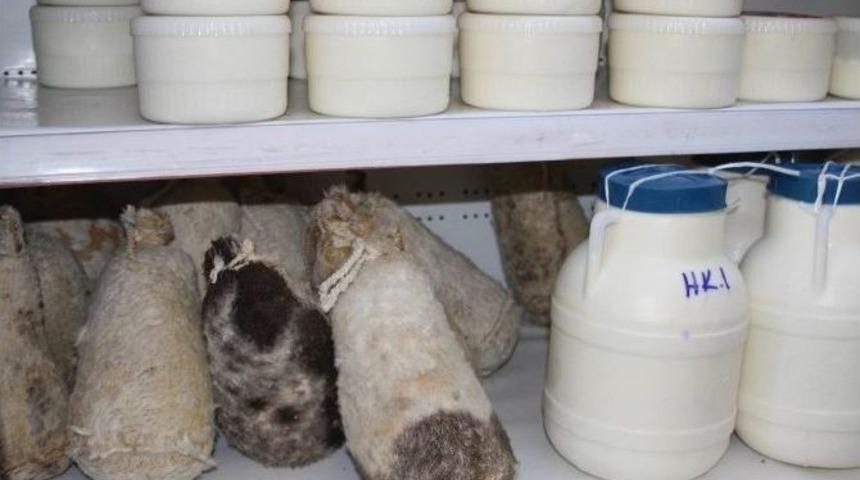 Sezonun Tulum Peyniri Raflarda