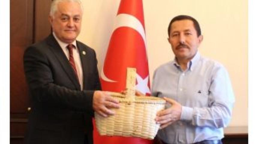 İspanya T&uuml;rk Sepetleri İle Fındık Toplayacak