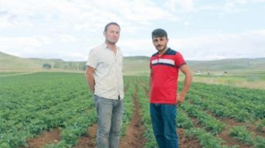 G&uuml;m&uuml;şhane&rsquo;nin K&ouml;se İl&ccedil;esinde Karadeniz&rsquo;e Yetecek Patates Var Depo Yok