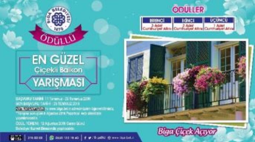 Biga &Ccedil;i&ccedil;ek A&ccedil;ıyor
