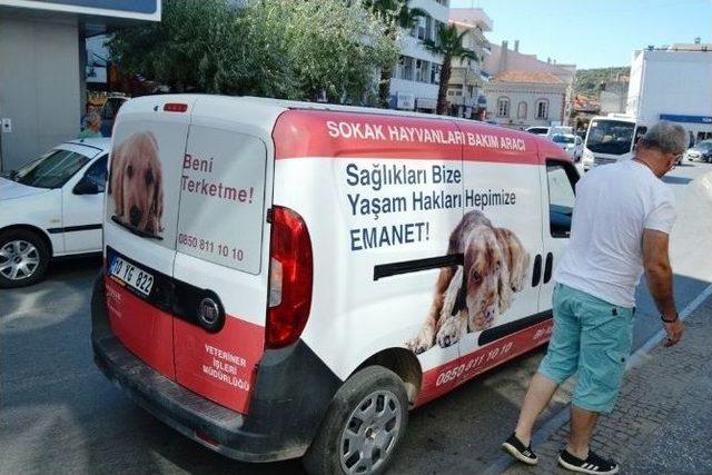 Sıcaktan Fenalaşan Sokak Köpeği Vatandaşlar Sayesinde Hayata Döndü