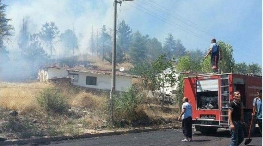 Polatlı&rsquo;da Ağa&ccedil;lık Alan Alev Alev Yandı