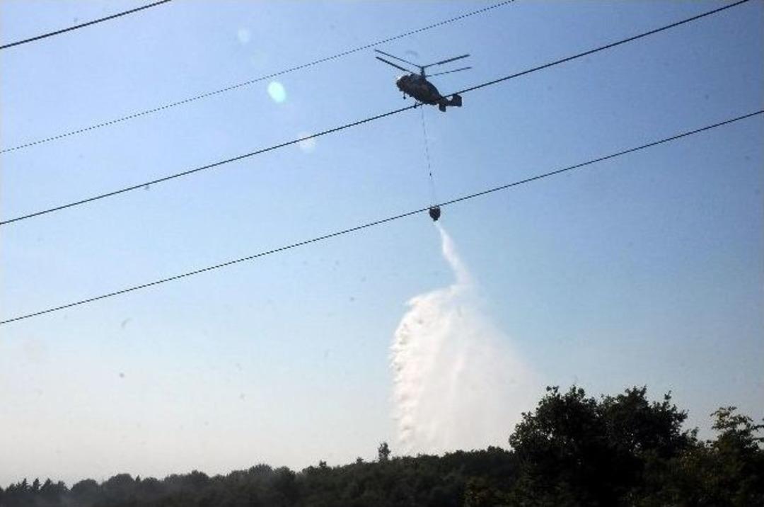 Yalova&rsquo;da Orman Yangını