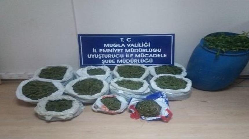 Dalaman Ve K&ouml;yceğiz&rsquo;de Uyuşturucu Operasyonu