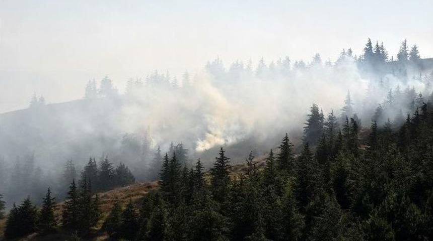 Eskişehir&rsquo;de &Ccedil;ıkan Orman Yangını 11 Hektar Alanı K&uuml;l Etti