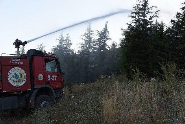 Eskişehir’de Çıkan Orman Yangını 11 Hektar Alanı Kül Etti