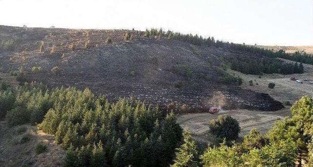 Eskişehir’de Çıkan Orman Yangını 11 Hektar Alanı Kül Etti