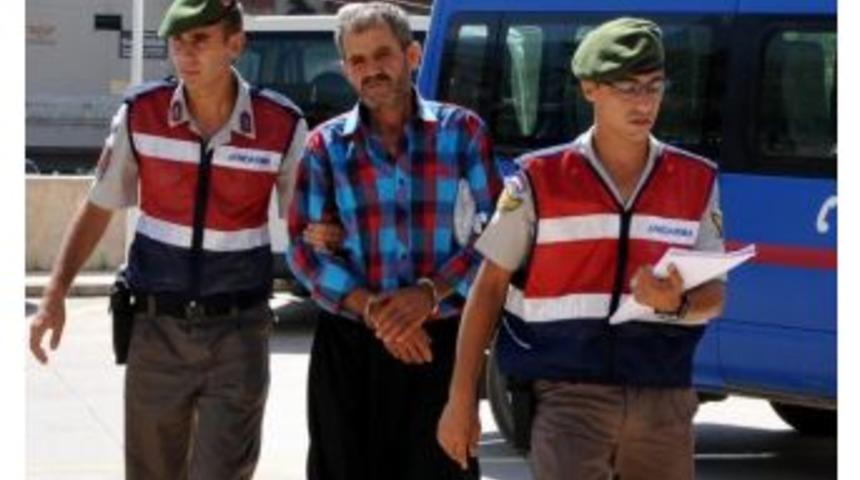 Alanya&rsquo;da 150 K&ouml;k Hint Keneviri Ele Ge&ccedil;irildi