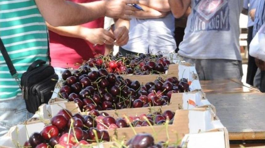 Kiraz Festivali Uluslararası Boyuta Taşınacak
