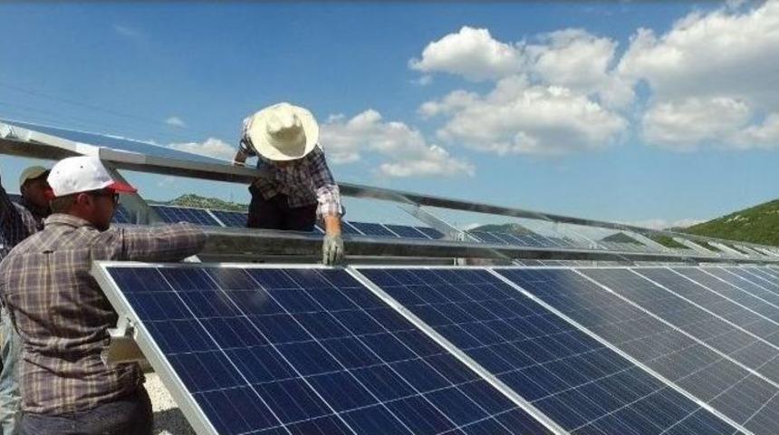 G&uuml;neş Tarlası &Ccedil;ift&ccedil;iler İ&ccedil;in &Uuml;retecek