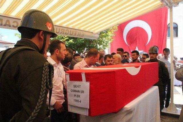 Bilecikli Şehidin Ağabeyi: “haklarımızı Helal Etmiyoruz”