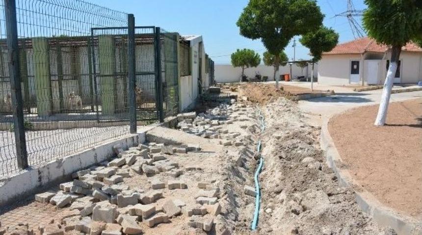 Hayvan Barınağının İ&ccedil;me Suyu Hatları Yenileniyor