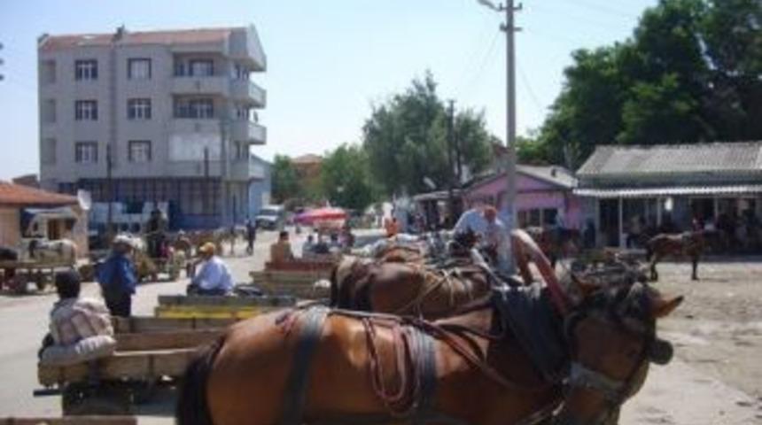 At Arabası Ve Bisiklete Yasak