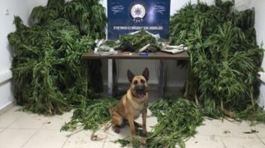 Karab&uuml;k&rsquo;te Uyuşturucu Operasyonu