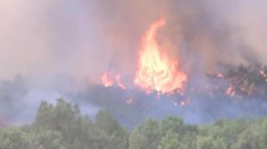 Eskişehir&rsquo;de Orman Yangını