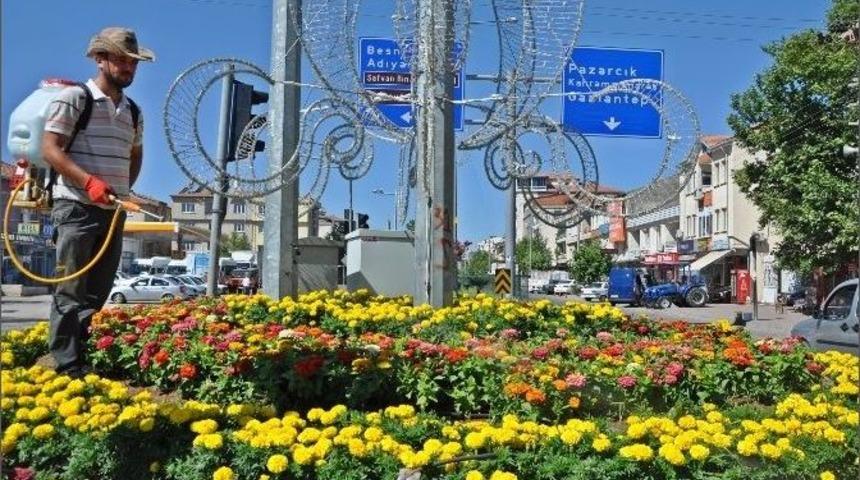 &Ccedil;i&ccedil;ekler Mantar Ve K&uuml;llenmeye Karşı İla&ccedil;landı