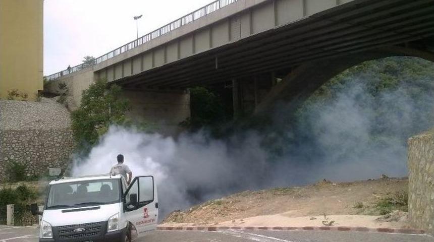 Bilecik Belediyesi&rsquo;nden K&uuml;mes Hayvancılığı Yapanlara Uyarı
