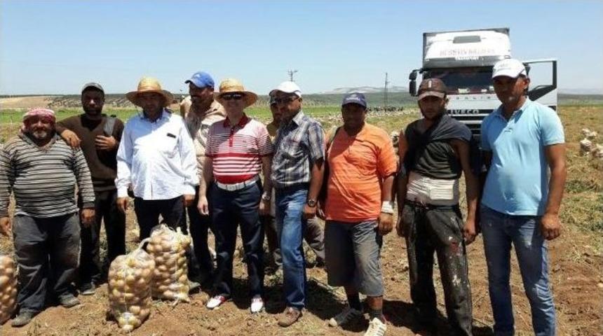 Suriye&rsquo;ye Patates Soğan İhracatı