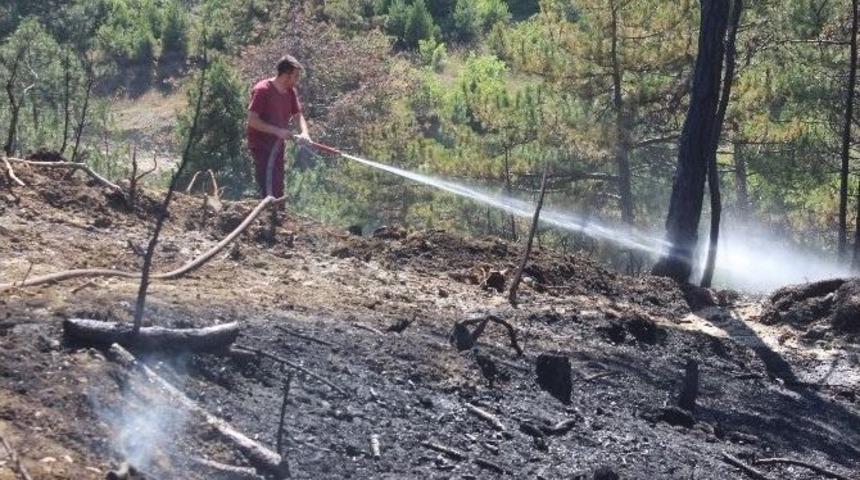 Tavşanlı’da 3 Dekar Ormanlık Alan Yandı