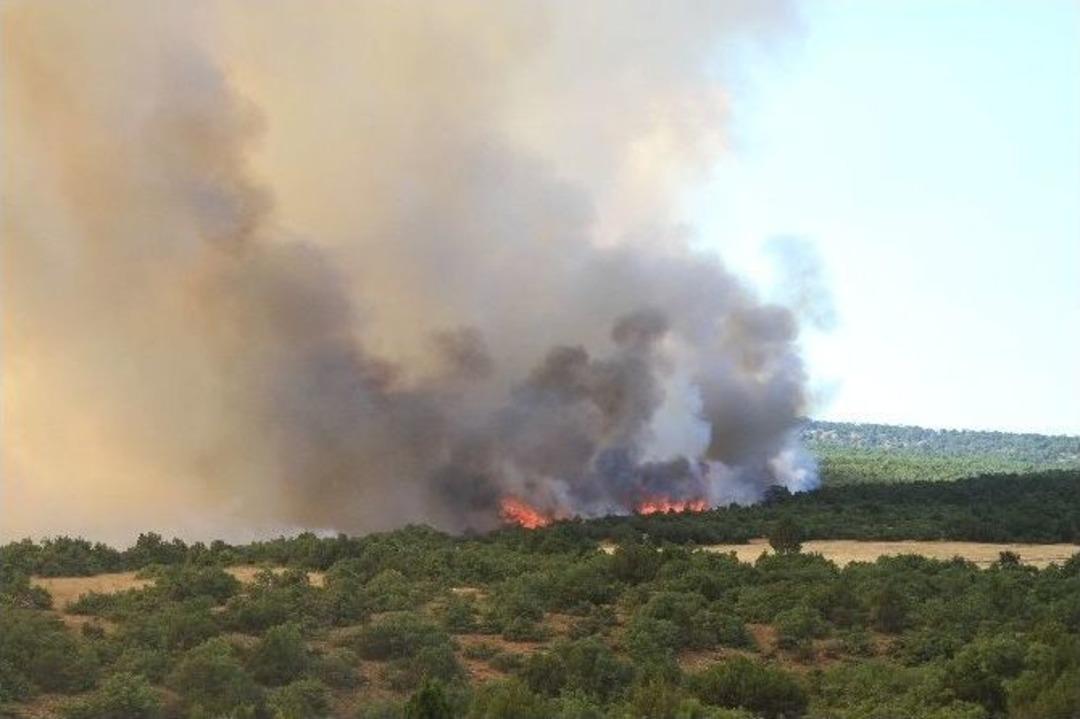 Eskişehir&rsquo;deki Orman Yangını Kontrol Altına Alındı