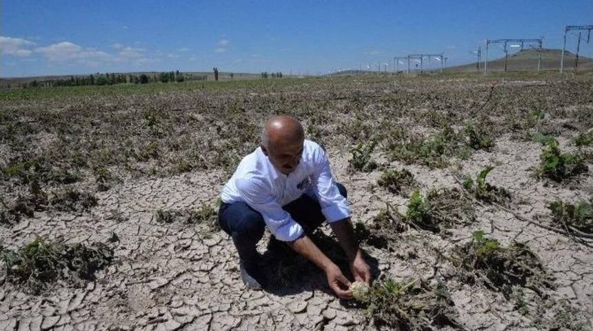 Kayseri Gıda Tarım Ve Hayvancılık İl M&uuml;d&uuml;rl&uuml;ğ&uuml; Bir İlke İmza Attı