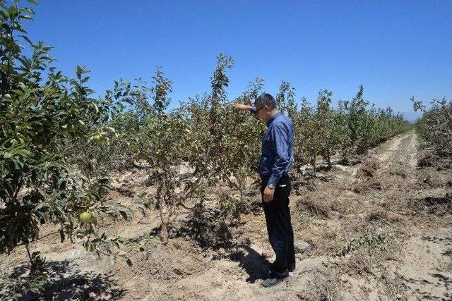 Kayseri Gıda Tarım Ve Hayvancılık İl Müdürlüğü Bir İlke İmza Attı