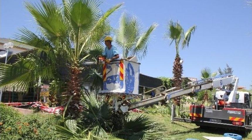 Toroslar&rsquo;da Yeşil Alanlara Bakım Yapılıyor