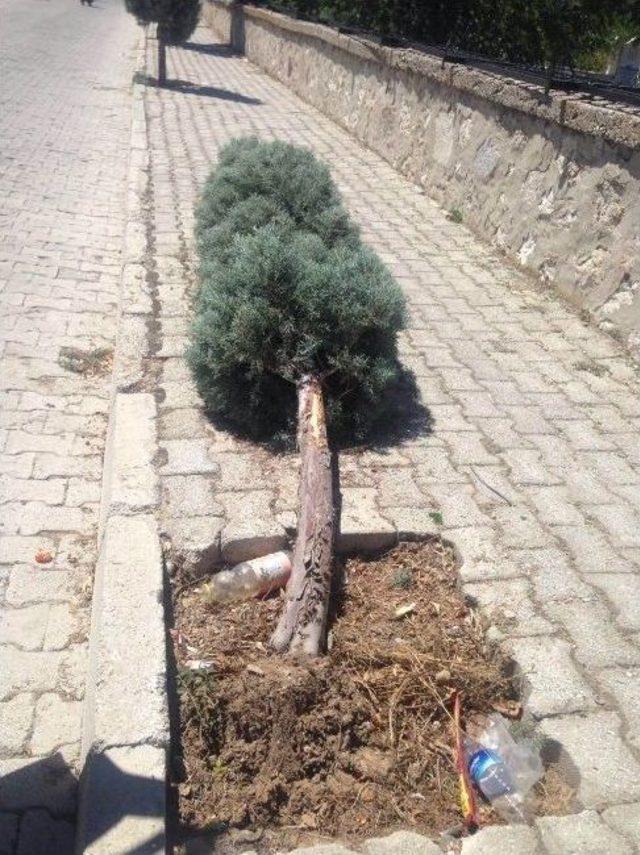 Cihanbeyli’de Yapılan Hizmetlere Zarar Verildi