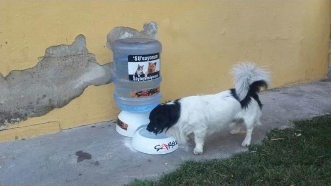 Milas &Ccedil;arşı&rsquo;dan Alkışlanacak Kampanya