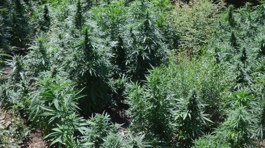 Kumluca&rsquo;dan Polis Ve Jandarmadan Ortak Operasyon