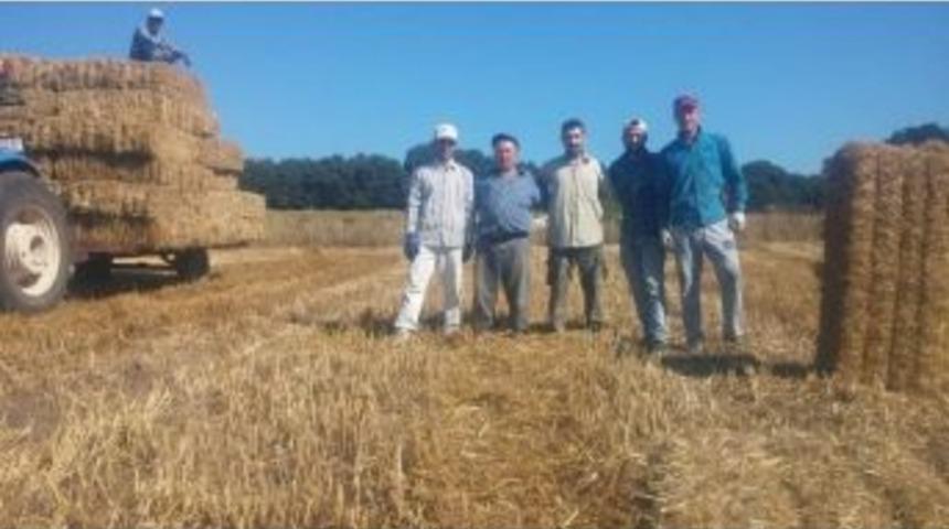 Saman Balyası 5 Liraya D&uuml;şt&uuml;