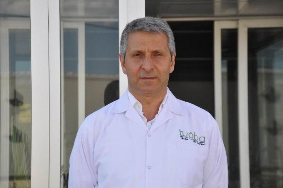 Sivas&rsquo;tan D&uuml;nyaya &rsquo;mozzarella Peyniri&rsquo; İhra&ccedil; Ediyorlar