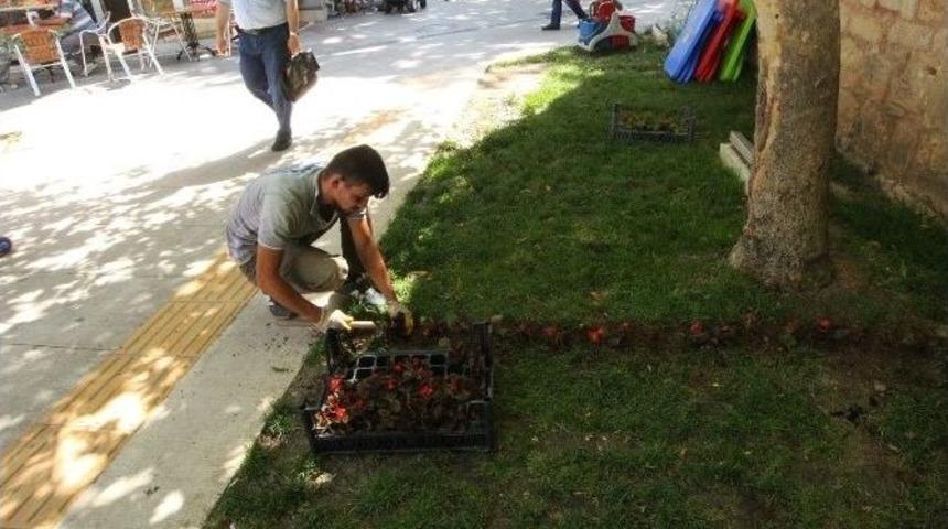 Gebze’de Park Ve Bahçeler Çiçeklerle Süslendi