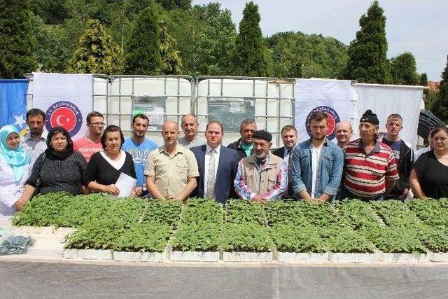 Bosna Hersek’te Tika Tarafından Başlatılan 