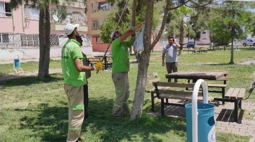 Haliliye&rsquo;de Sineklerle M&uuml;cadelede Yeni Y&ouml;ntem