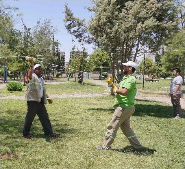 Haliliye’de Sineklerle Mücadelede Yeni Yöntem